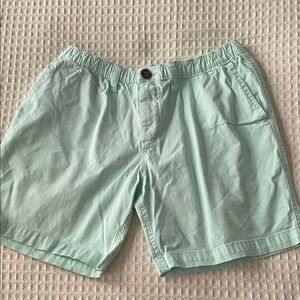 chubbies Men's Mint Green Flat Front Shorts